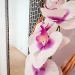 Apartamento La Casa De Margaritas *